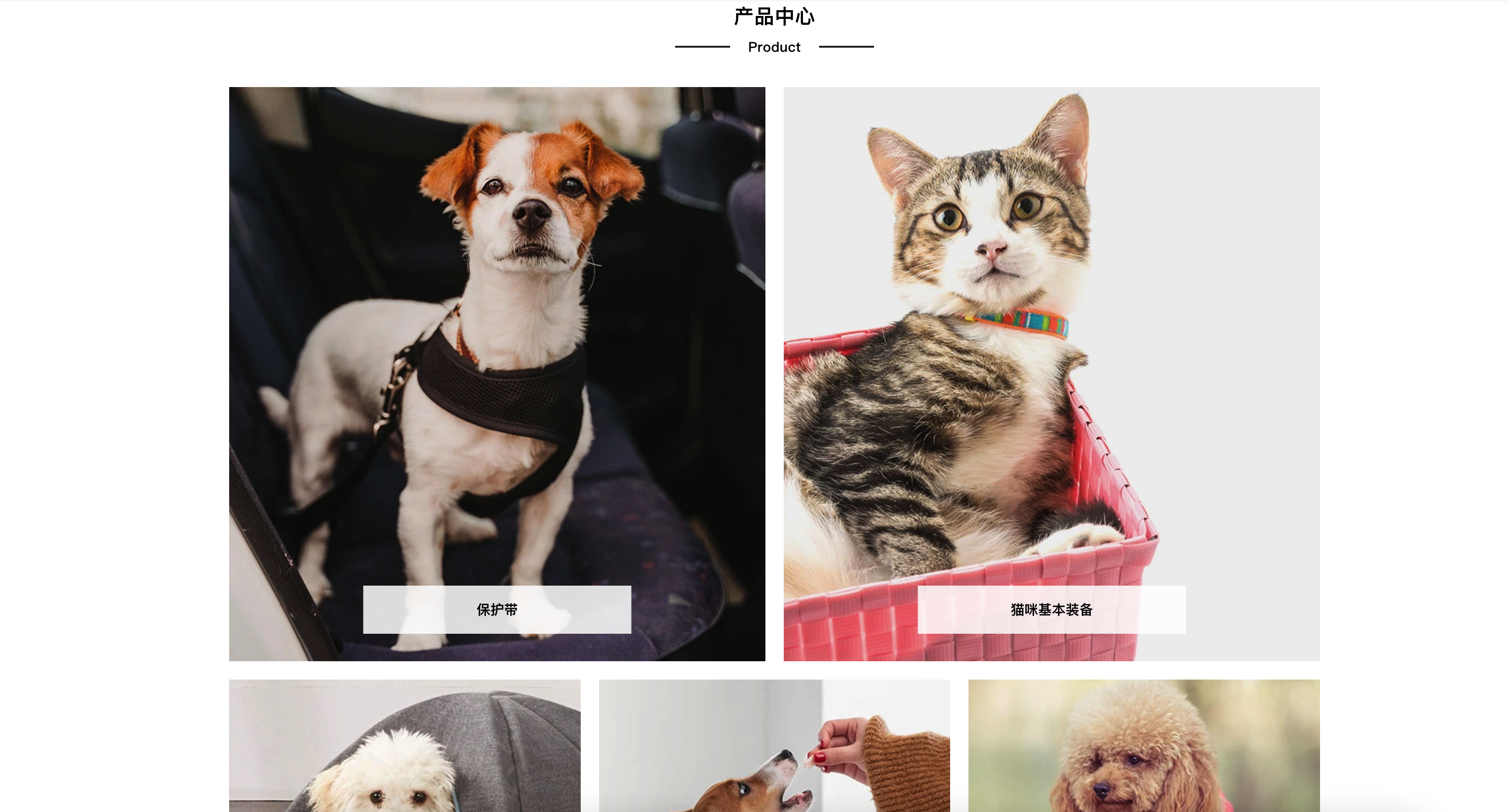 图片[2]-宠物商店网站源码下载-PBootCMS自适应宠物装备类模板-168源码网