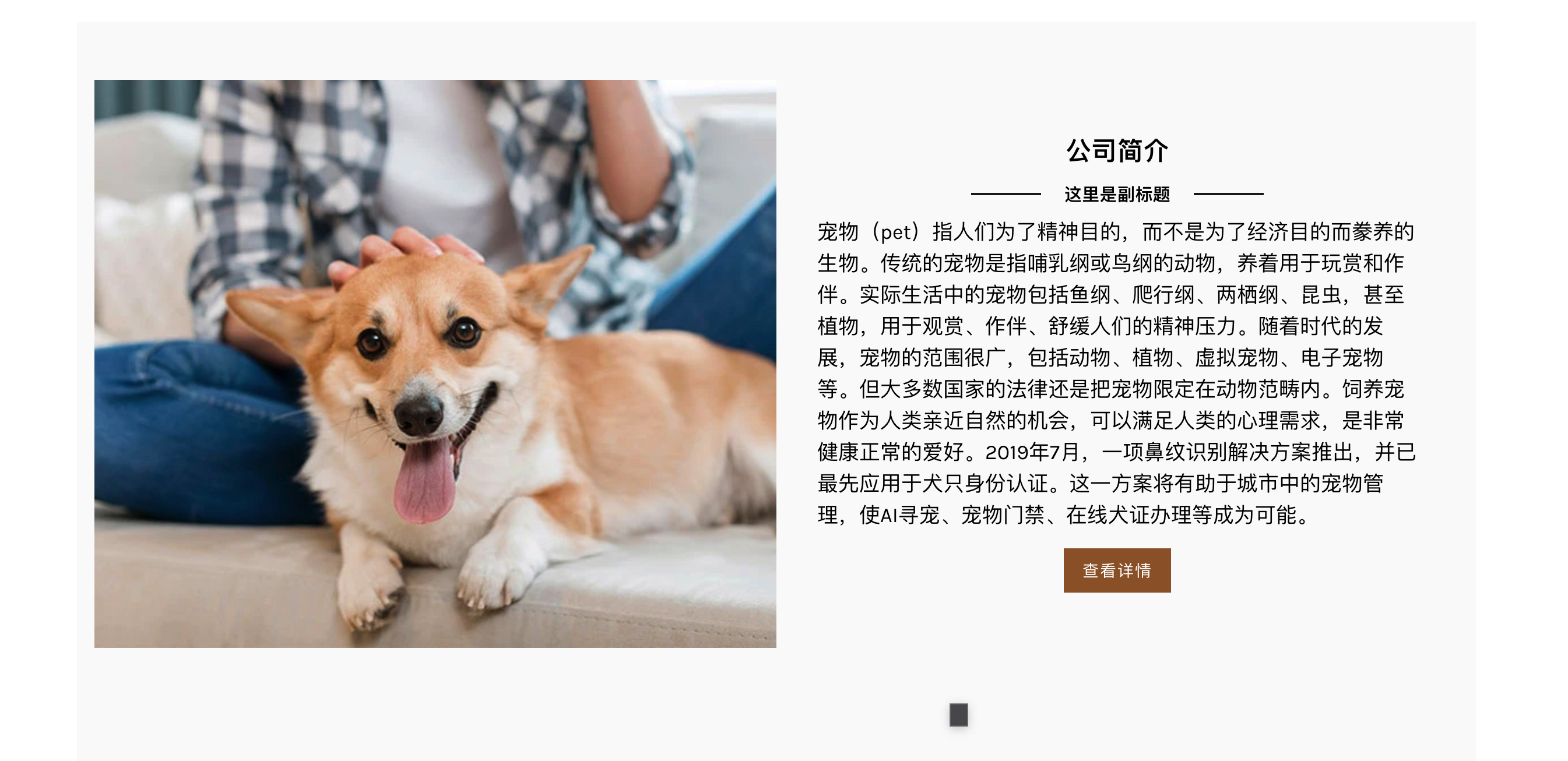图片[4]-宠物商店网站源码下载-PBootCMS自适应宠物装备类模板-168源码网