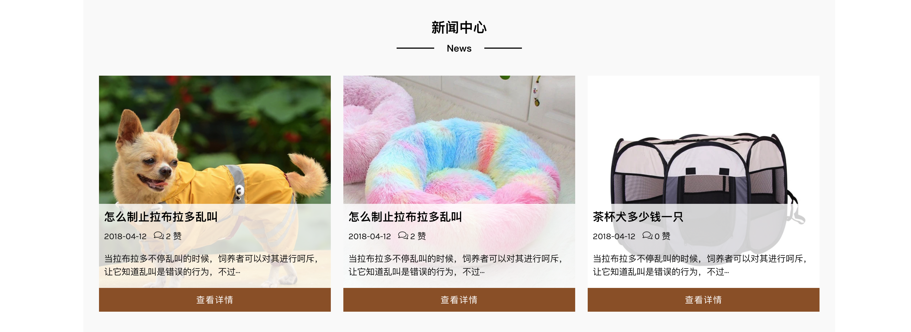 图片[5]-宠物商店网站源码下载-PBootCMS自适应宠物装备类模板-168源码网